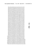 REGULATORS OF NFAT diagram and image