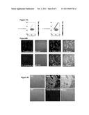 FLUORESCENT CDK INHIBITORS FOR TREATMENT OF CANCER diagram and image