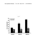 ANTIBODIES AGAINST VASCULAR ENDOTHELIAL GROWTH FACTOR RECEPTOR-1 diagram and image