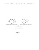 LOOP-SHAPED PRIMER USED IN NUCLEIC ACID AMPLIFICATION AND THE USE THEREOF diagram and image