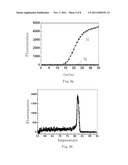 LOOP-SHAPED PRIMER USED IN NUCLEIC ACID AMPLIFICATION AND THE USE THEREOF diagram and image