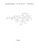 ALCOHOL DEHYDROGENASES (ADH) USEFUL FOR FERMENTIVE PRODUCTION OF LOWER     ALKYL ALCOHOLS diagram and image