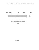 ALCOHOL DEHYDROGENASES (ADH) USEFUL FOR FERMENTIVE PRODUCTION OF LOWER     ALKYL ALCOHOLS diagram and image