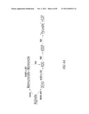 BIOFUEL PRODUCTION diagram and image