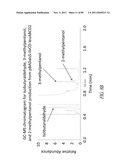 BIOFUEL PRODUCTION diagram and image