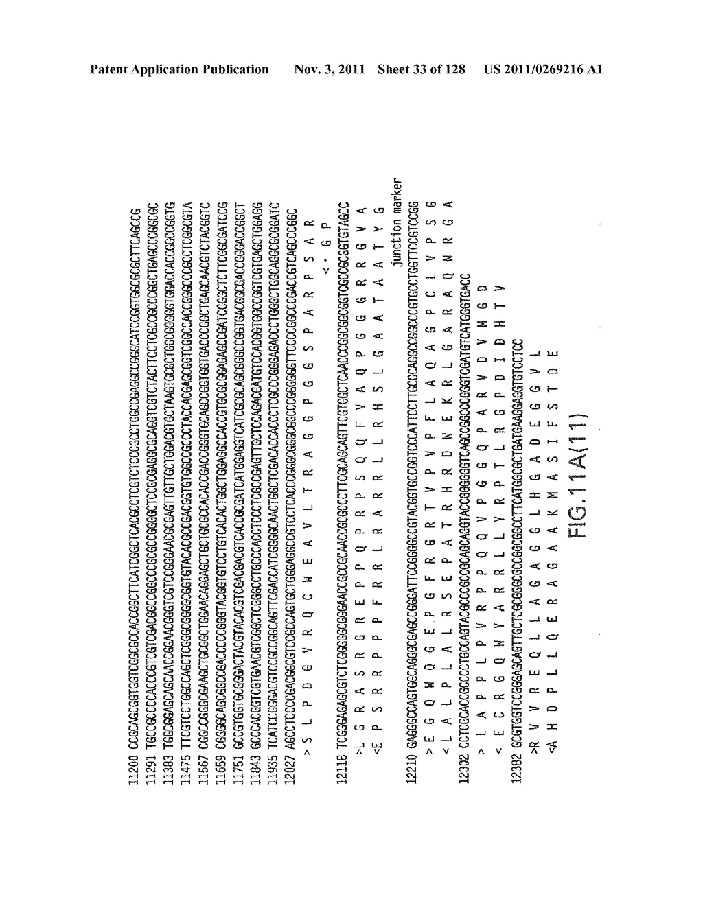 EVERNINOMICIN BIOSYNTHETIC GENES - diagram, schematic, and image 34