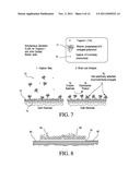 Immunoassay Device with Improved Sample Closure diagram and image