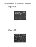 PROTEOGLYCAN-BINDING PEPTIDES THAT MODULATE STEM CELL BEHAVIOR diagram and image