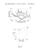 SYSTEMS AND METHODS RELATED TO OPTICAL NANOSENSORS COMPRISING     PHOTOLUMINESCENT NANOSTRUCTURES diagram and image