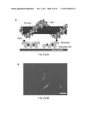 SYSTEMS AND METHODS RELATED TO OPTICAL NANOSENSORS COMPRISING     PHOTOLUMINESCENT NANOSTRUCTURES diagram and image