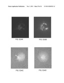 SYSTEMS AND METHODS RELATED TO OPTICAL NANOSENSORS COMPRISING     PHOTOLUMINESCENT NANOSTRUCTURES diagram and image