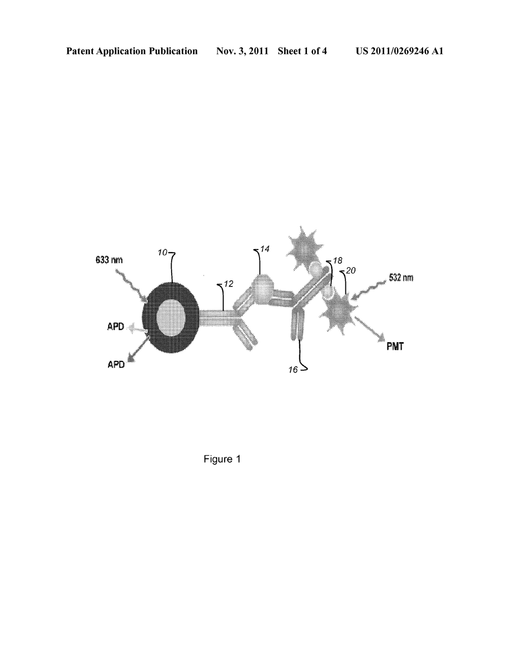 MEASURING LEVELS OF FRATAXIN - diagram, schematic, and image 02