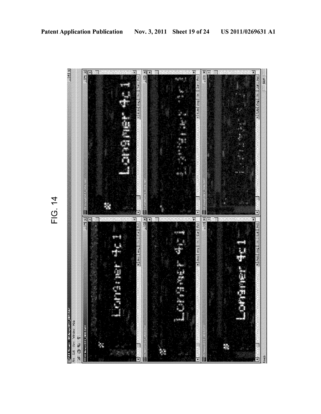 Amplification and Analysis of Selected Targets on Solid Supports - diagram, schematic, and image 20