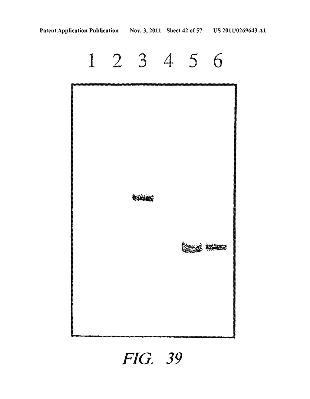 MASS SPECTROMETRIC METHODS FOR DETECTING MUTATIONS IN A TARGET NUCLEIC     ACID - diagram, schematic, and image 43