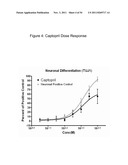 NEUROGENESIS BY MODULATING ANGIOTENSIN diagram and image