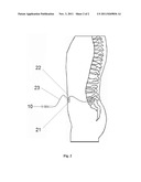 INTRATHECAL BACLOFEN PHARMACEUTICAL DOSAGE FORMS AND RELATED DELIVERY     SYSTEM diagram and image