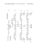 METHOD OF FORMING IONICALLY-CHARGED, ENCAPSULATED COLORANT NANOPARTICLES diagram and image