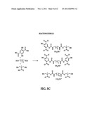 METHOD OF FORMING IONICALLY-CHARGED, ENCAPSULATED COLORANT NANOPARTICLES diagram and image