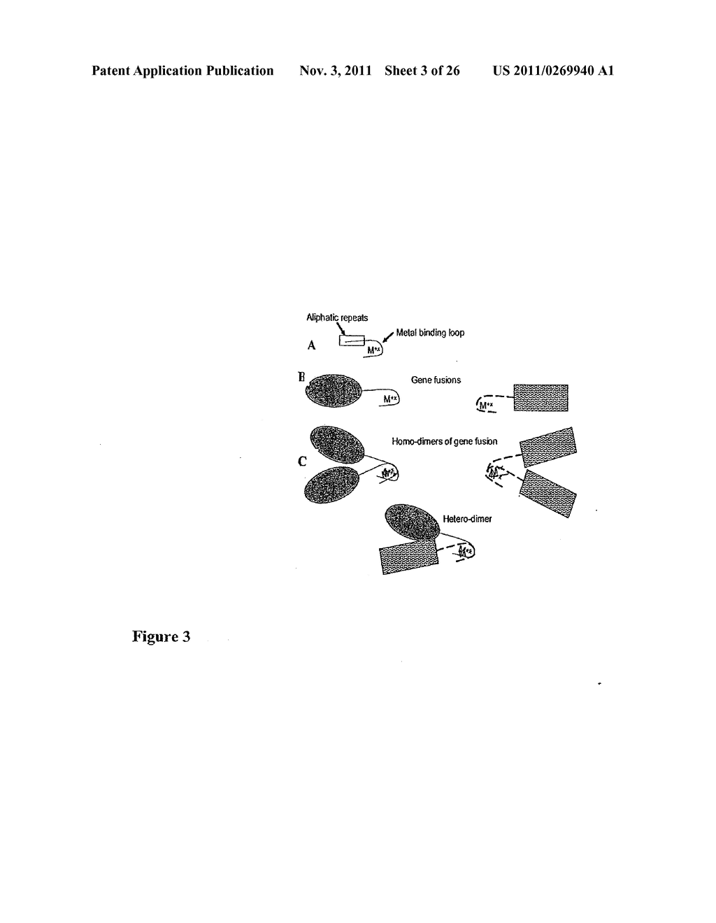 Self-Assembled Proteins and Related Methods and Protein Structures - diagram, schematic, and image 04