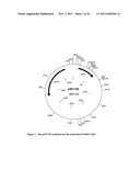 Self-Assembled Proteins and Related Methods and Protein Structures diagram and image