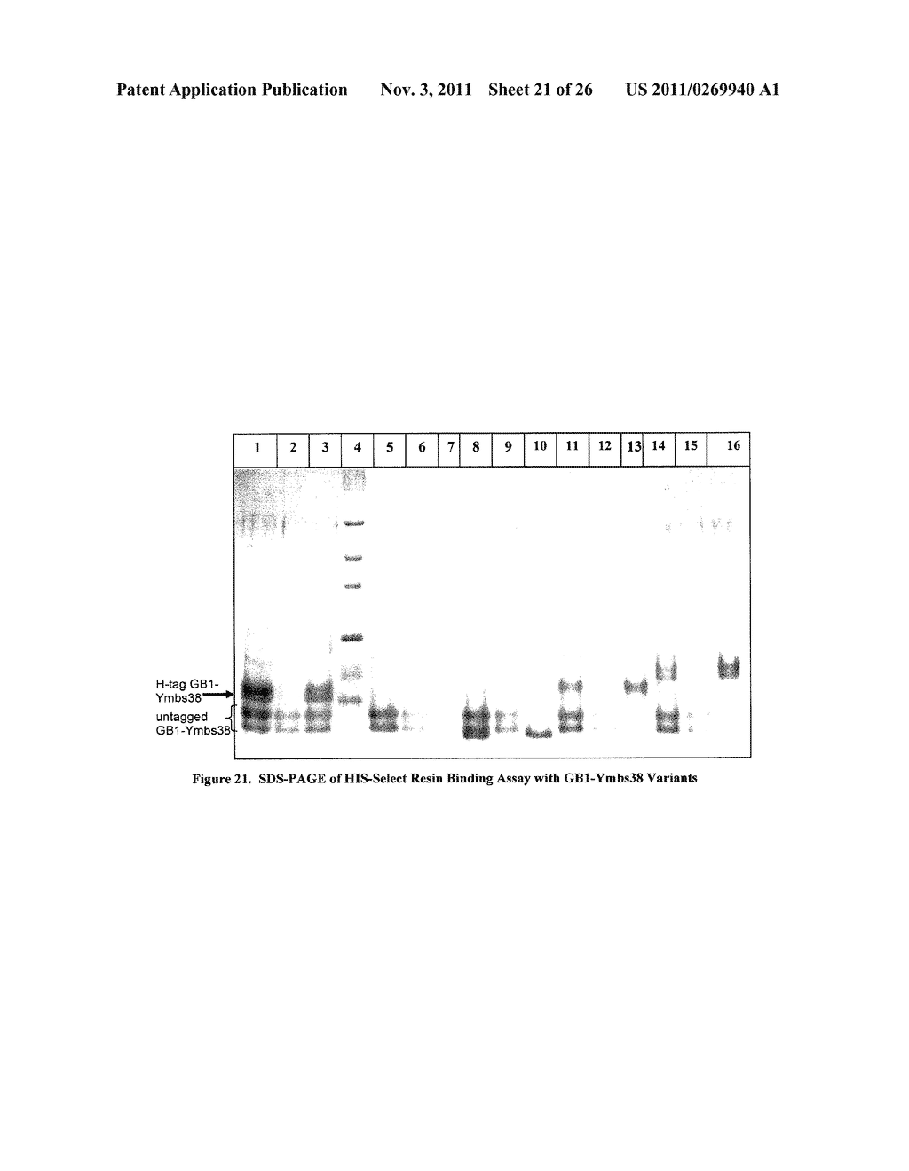 Self-Assembled Proteins and Related Methods and Protein Structures - diagram, schematic, and image 22