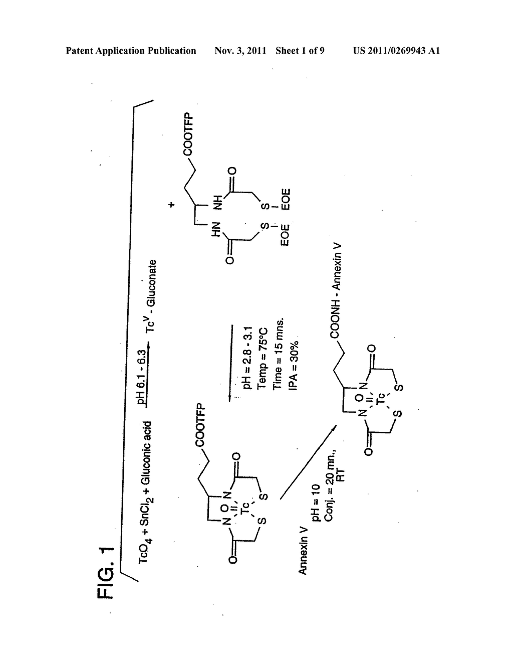 RADIOLABELED ANNEXINS - diagram, schematic, and image 02