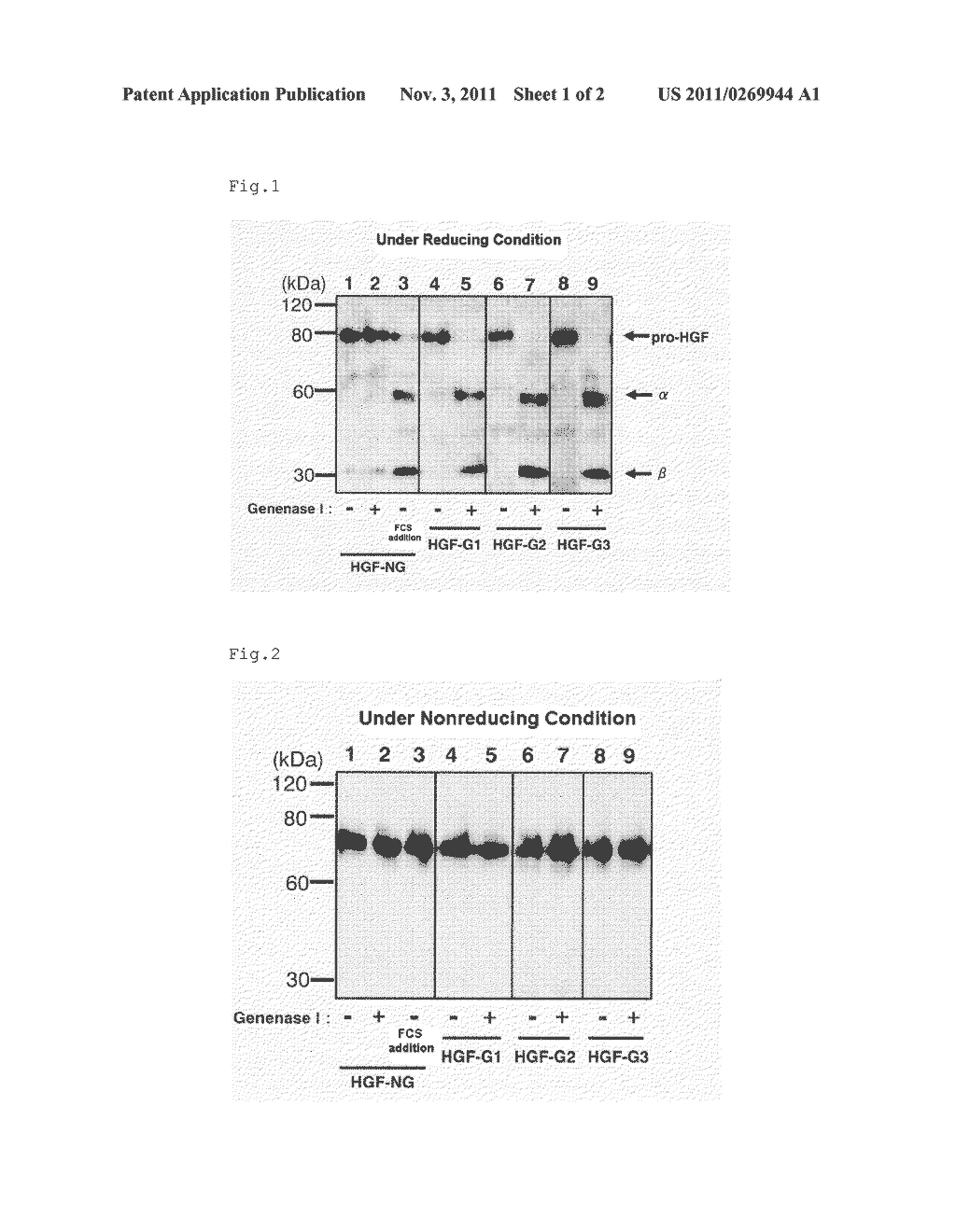 HGF PRECURSOR PROTEIN VARIANT AND ACTIVE PROTEIN THEREOF - diagram, schematic, and image 02