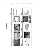 Methods for physiological monitoring, training, exercise and regulation diagram and image