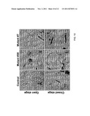 SYSTEM FOR SELECTING PLANTS FROM AMONG A POPULATION OF PLANTS diagram and image