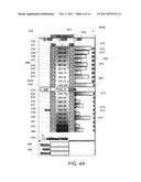 DISPLAY/USER INTERFACE FOR TRADING SYSTEM diagram and image