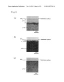 SEMICONDUCTOR DEVICE AND METHOD FOR FABRICATING THE SAME diagram and image