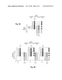 FLUID EJECTION DEVICE, PROGRAM, AND FLUID EJECTION METHOD diagram and image