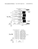 FLUID EJECTION DEVICE, PROGRAM, AND FLUID EJECTION METHOD diagram and image