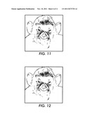 PROCESSING IMAGES TO BE BLENDED WITH REFLECTED IMAGES diagram and image