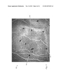 DEVICES AND METHODS FOR ASSESSING CHANGES IN CORNEAL HEALTH diagram and image