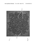 DEVICES AND METHODS FOR ASSESSING CHANGES IN CORNEAL HEALTH diagram and image