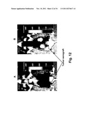 Antibody-Targeted Carrier For Contrast Agents diagram and image