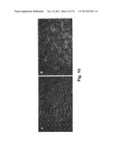 Antibody-Targeted Carrier For Contrast Agents diagram and image