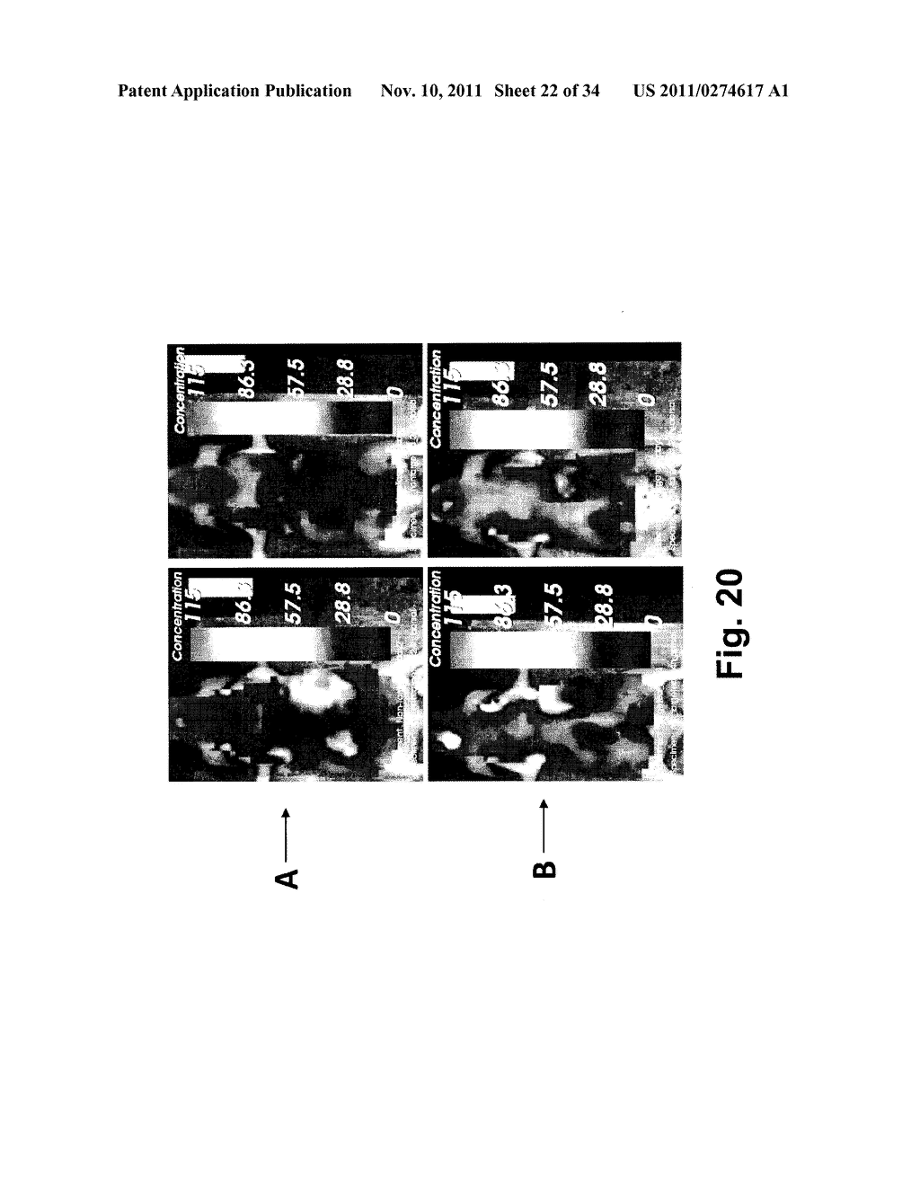 Antibody-Targeted Carrier For Contrast Agents - diagram, schematic, and image 23