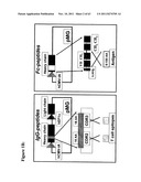 METHODS AND COMPOSITIONS TO GENERATE AND CONTROL THE EFFECTOR PROFILE OF T     CELLS BY SIMULTANEOUS LOADING AND ACTIVATION OF SELECTED SUBSETS OF     ANTIGEN PRESENTING CELLS diagram and image