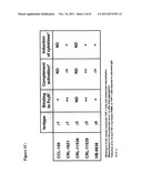 METHODS AND COMPOSITIONS TO GENERATE AND CONTROL THE EFFECTOR PROFILE OF T     CELLS BY SIMULTANEOUS LOADING AND ACTIVATION OF SELECTED SUBSETS OF     ANTIGEN PRESENTING CELLS diagram and image