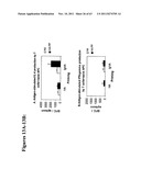 METHODS AND COMPOSITIONS TO GENERATE AND CONTROL THE EFFECTOR PROFILE OF T     CELLS BY SIMULTANEOUS LOADING AND ACTIVATION OF SELECTED SUBSETS OF     ANTIGEN PRESENTING CELLS diagram and image