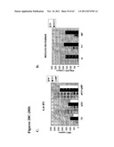 METHODS AND COMPOSITIONS TO GENERATE AND CONTROL THE EFFECTOR PROFILE OF T     CELLS BY SIMULTANEOUS LOADING AND ACTIVATION OF SELECTED SUBSETS OF     ANTIGEN PRESENTING CELLS diagram and image