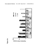 METHODS AND COMPOSITIONS TO GENERATE AND CONTROL THE EFFECTOR PROFILE OF T     CELLS BY SIMULTANEOUS LOADING AND ACTIVATION OF SELECTED SUBSETS OF     ANTIGEN PRESENTING CELLS diagram and image