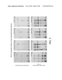 SYSTEM AND METHOD FOR ASSESSING TRADITIONAL MEDICINES diagram and image