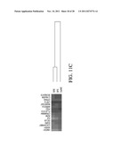 SYSTEM AND METHOD FOR ASSESSING TRADITIONAL MEDICINES diagram and image