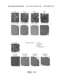 SYSTEM AND METHOD FOR ASSESSING TRADITIONAL MEDICINES diagram and image