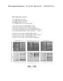 SYSTEM AND METHOD FOR ASSESSING TRADITIONAL MEDICINES diagram and image