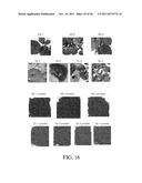 SYSTEM AND METHOD FOR ASSESSING TRADITIONAL MEDICINES diagram and image