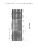 SYSTEM AND METHOD FOR ASSESSING TRADITIONAL MEDICINES diagram and image